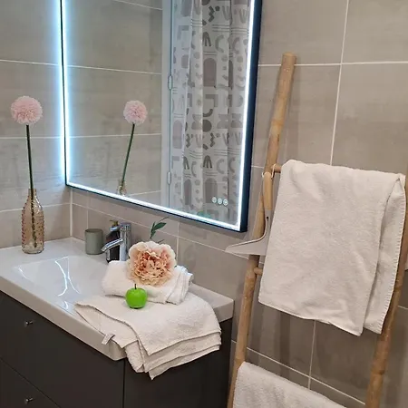 Le Sadi Carnot Valence 26000 - 4 CHB - 2 SDB - 2-8 personnes Appartement *