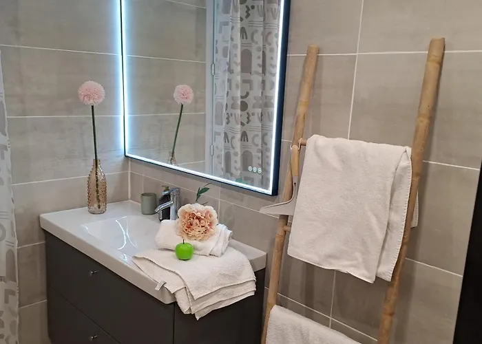 Le Sadi Carnot Valence 26000 - 4 CHB - 2 SDB - 2-8 personnes Appartement *