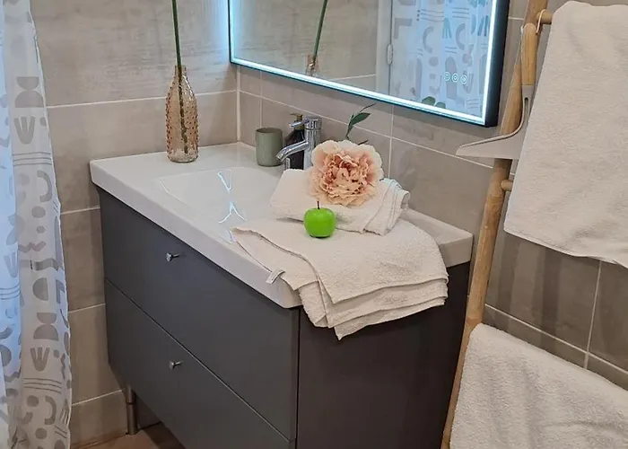 Le Sadi Carnot Valence 26000 - 4 CHB - 2 SDB - 2-8 personnes *